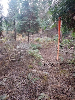 c0359615_21132907.jpg