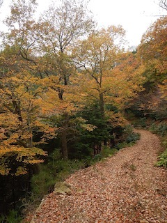 c0359615_21144117.jpg
