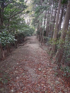 c0359615_21151371.jpg