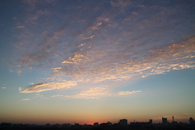 e0341417_17240195.jpg