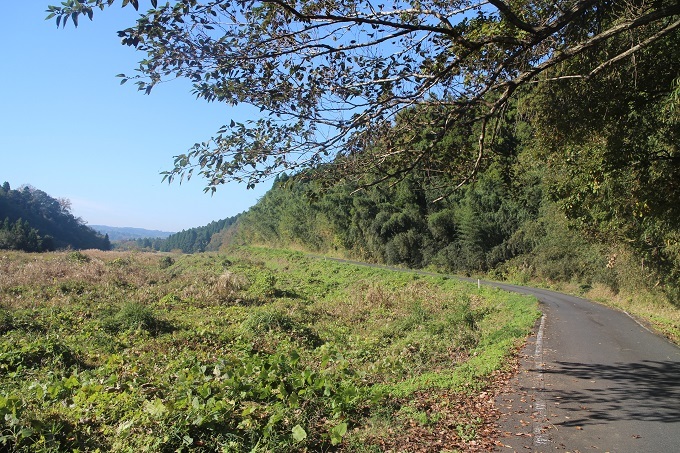 e0341417_18545156.jpg