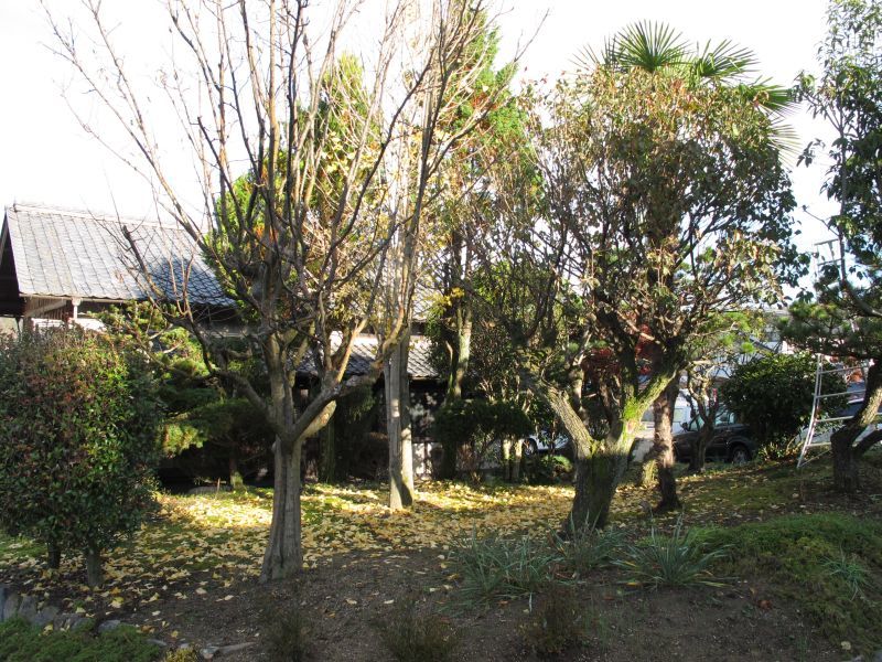 f0076731_22410466.jpg