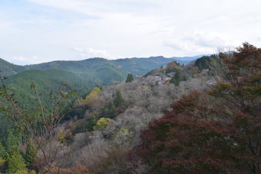 a0228333_21054927.jpg