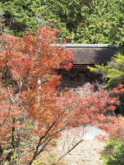 d0001533_10561649.jpg