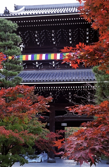 d0001533_9364312.jpg