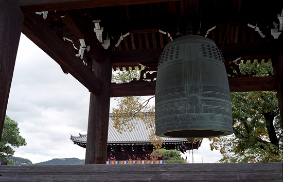 d0001533_937023.jpg