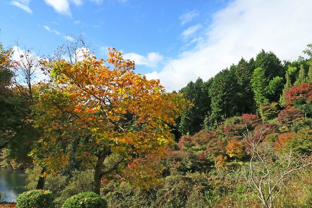 a0242438_18552775.jpg