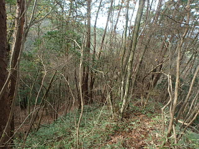 f0334143_21224668.jpg