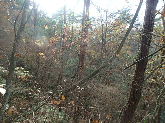 f0334143_21225217.jpg