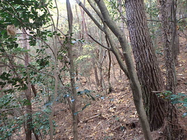 f0334143_2123317.jpg