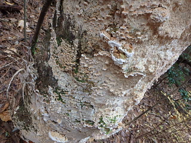 f0334143_21234439.jpg