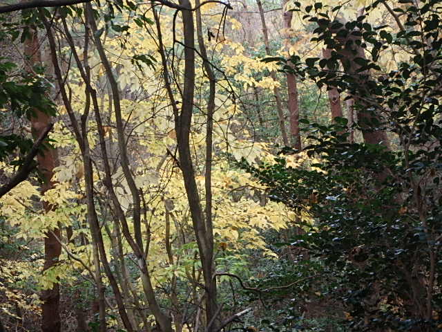 f0334143_2123927.jpg