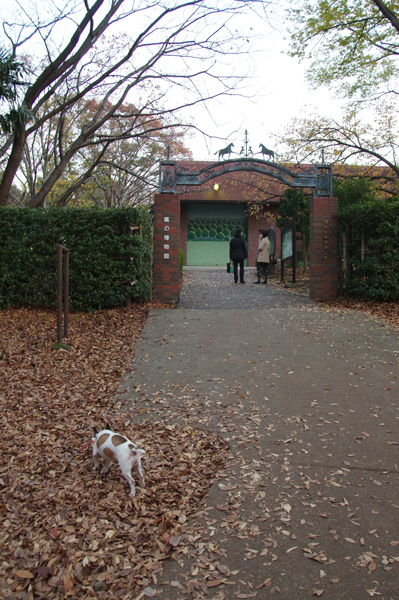 e0144545_24662.jpg