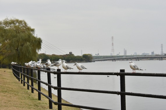 b0249247_23202232.jpg