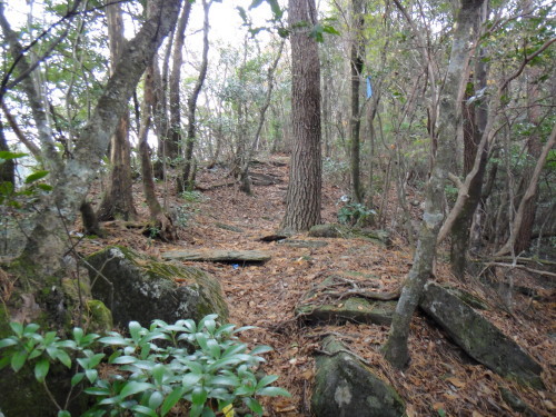 c0179351_11131696.jpg