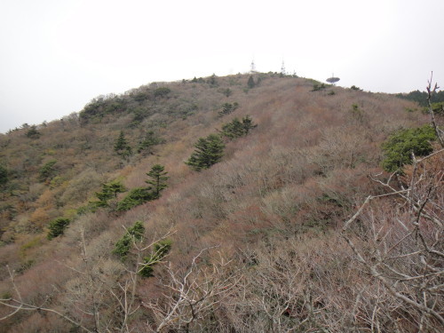 c0179351_11133279.jpg