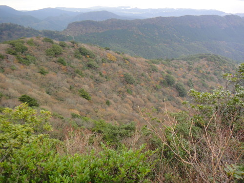 c0179351_11135267.jpg