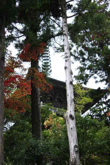 f0340155_16222079.jpg