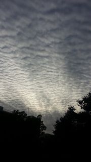 d0034659_2263190.jpg
