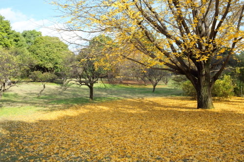 c0210275_00445381.jpg