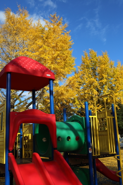 c0210275_00445390.jpg