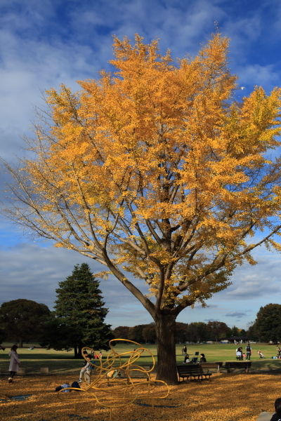 c0210275_00445399.jpg