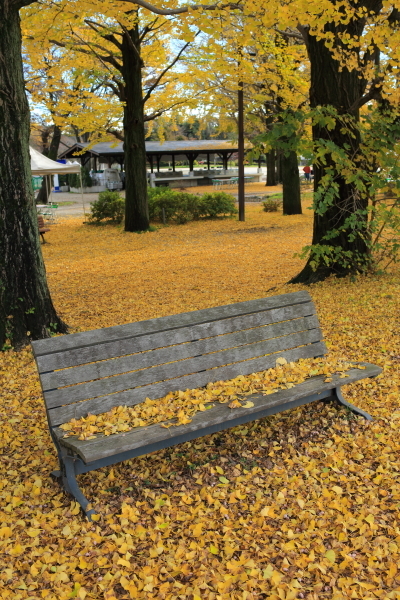 c0210275_00445471.jpg