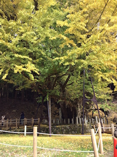 a0234877_14332693.jpg