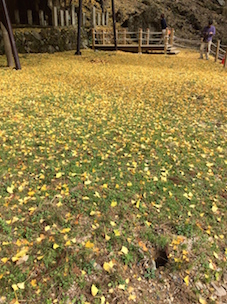 a0234877_14332899.jpg