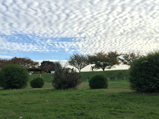 f0224682_2355812.jpg