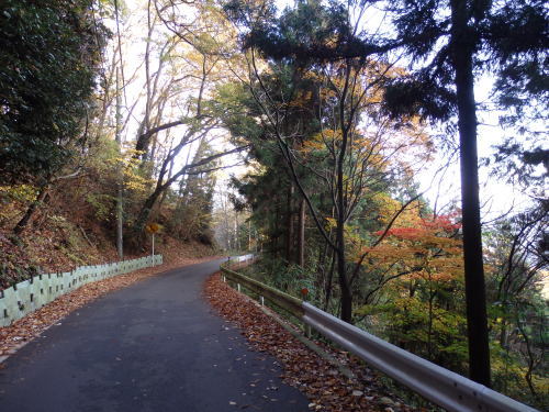 b0334084_07114677.jpg