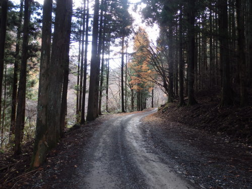 b0334084_07145690.jpg