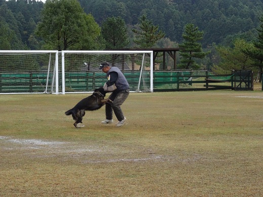 e0100584_050199.jpg