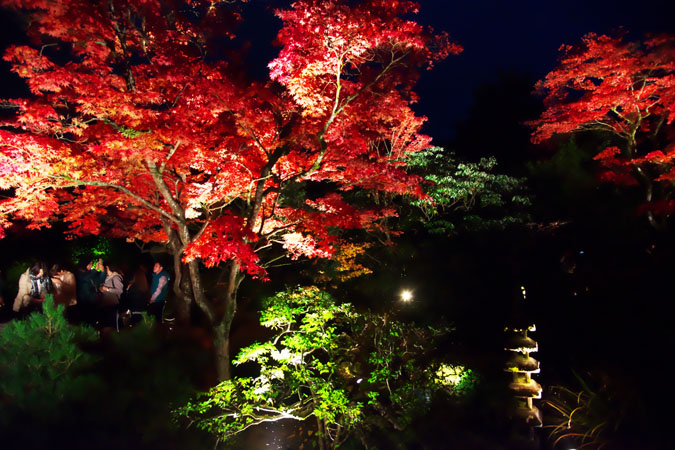 a0263109_10323973.jpg