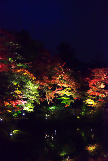 a0263109_10324344.jpg
