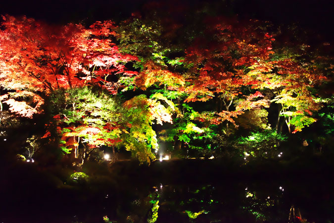 a0263109_1033128.jpg