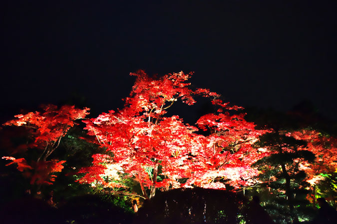 a0263109_1033129.jpg