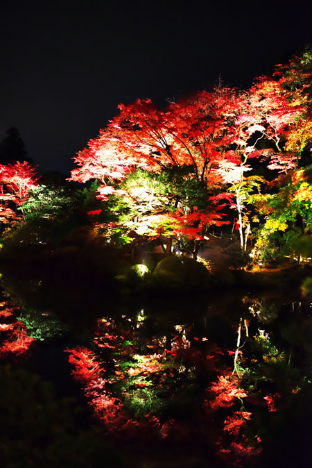 a0263109_10341336.jpg