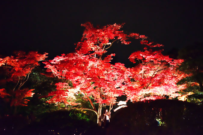 a0263109_1040433.jpg