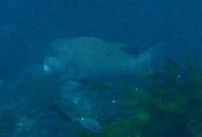 b0062010_12303215.jpg