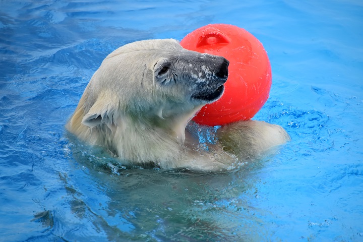 a0151913_0295031.jpg
