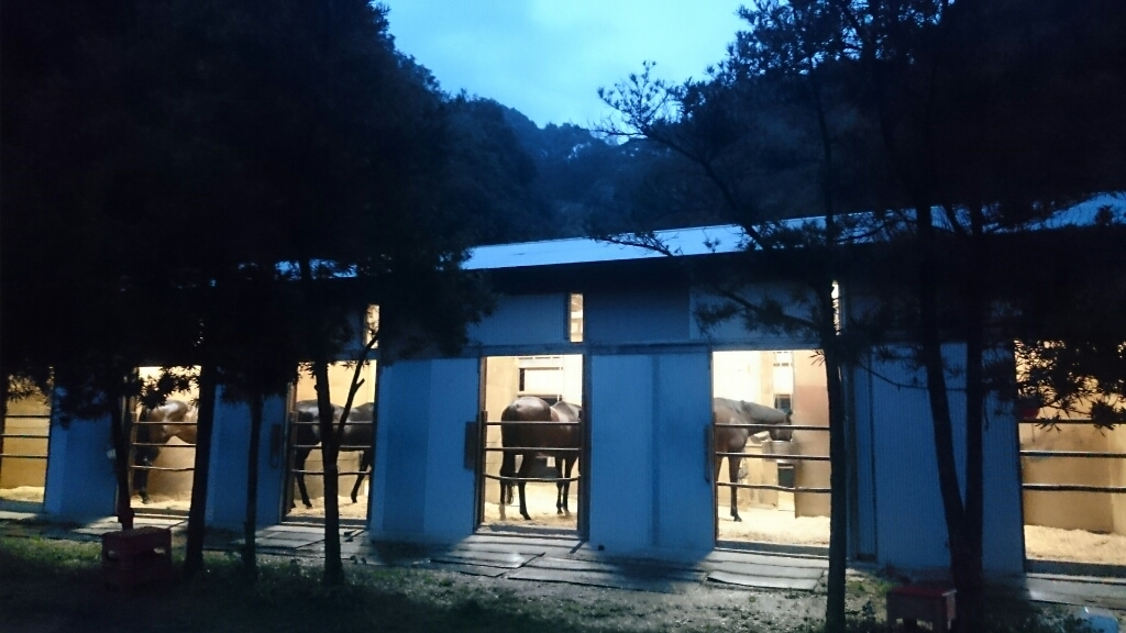b0187620_20482655.jpg