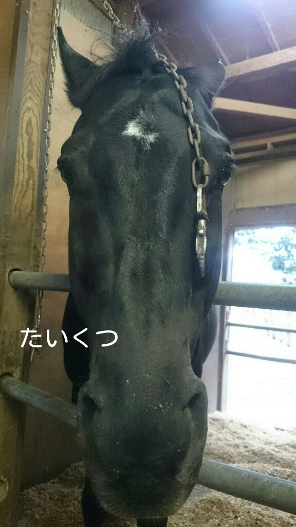 b0187620_20490182.jpg