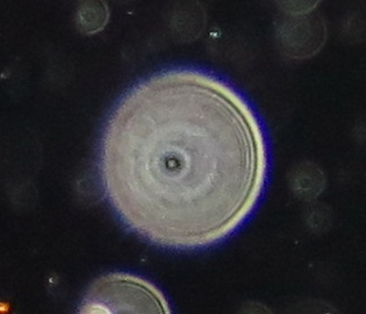 c0331825_12085760.jpg