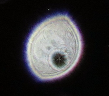 c0331825_12131779.jpg