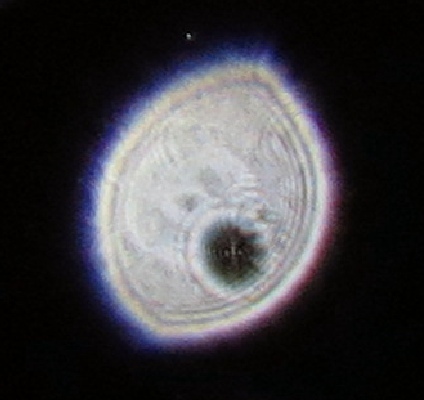 c0331825_12135705.jpg