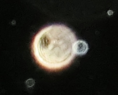 c0331825_12270515.jpg