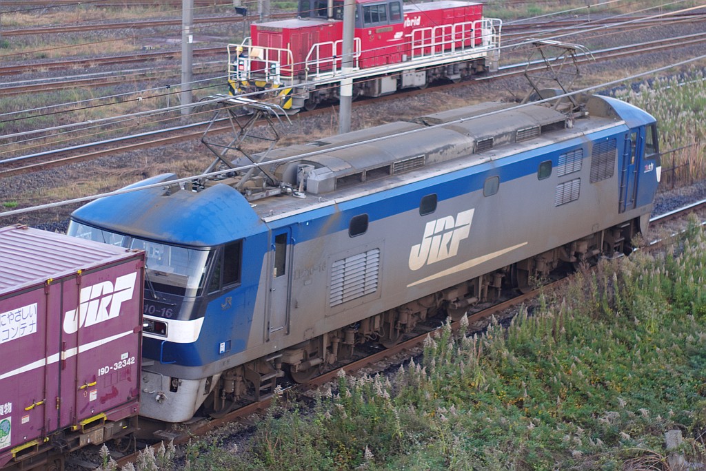 f0203926_2050395.jpg