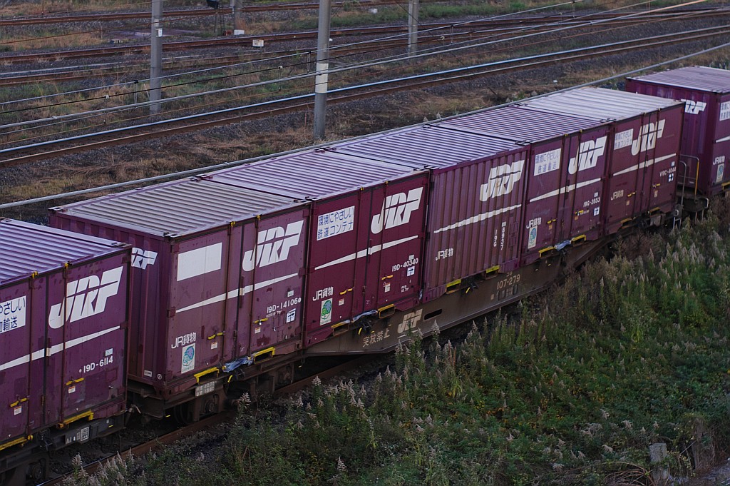 f0203926_20512398.jpg