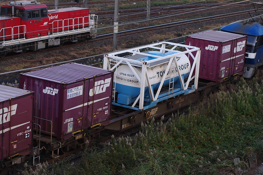 f0203926_2051373.jpg